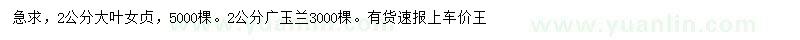 求購2公分大葉女貞