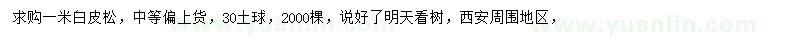 求購1米白皮松