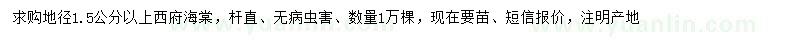 求購地徑1.5公分以上西府海棠