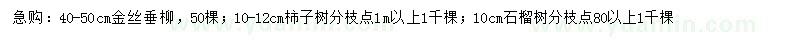 求購金絲垂柳、柿子樹、石榴樹