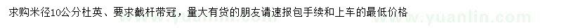 求購米徑10公分杜英
