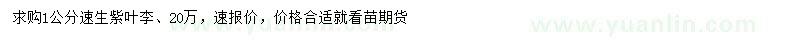 求購1公分速生紫葉李