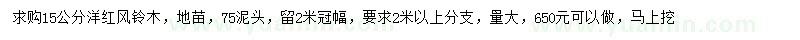 求購15公分洋紅風(fēng)鈴木