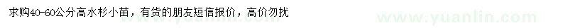 求購高40-60公分水杉