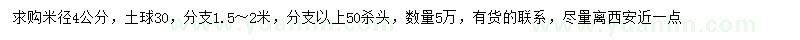 求購(gòu)米徑4公分大葉女貞