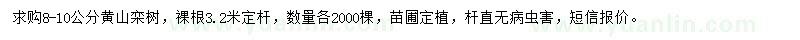 求購8-10公分黃山欒樹