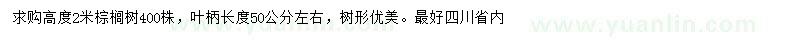 求購高度2米棕櫚樹