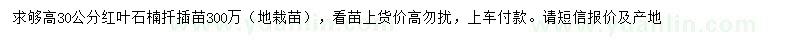 求購高30公分紅葉石楠