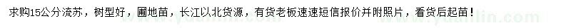 求購15公分流蘇