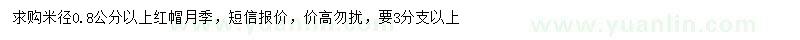 求購米徑0.8公分以上紅帽月季