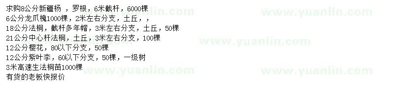 求購新疆楊、龍爪槐、法桐等