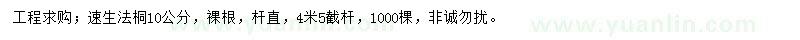 求購10公分速生法桐