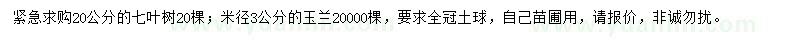 求購20公分七葉樹、米徑3公分玉蘭