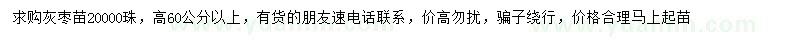 求購(gòu)高60公分以上灰棗苗