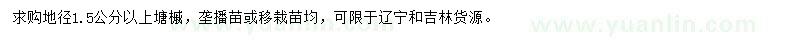 求購地徑1.5公分以上塘槭