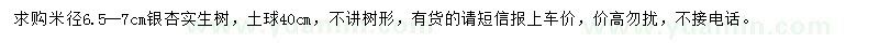 求購米徑6.5-7公分銀杏