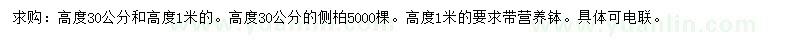 求購高30公分、1米側(cè)柏