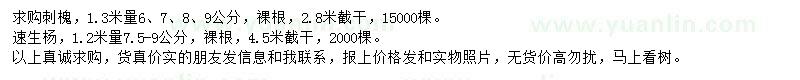 求購1.3米量6、7、8、9公分刺槐、1.2米量7.5-9公分速生楊