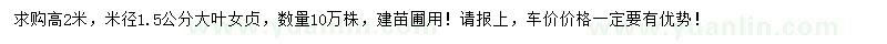求購(gòu)高2米大葉女貞