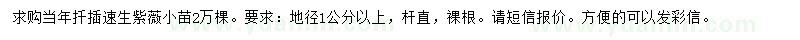求購地徑1公分以上速生紫薇