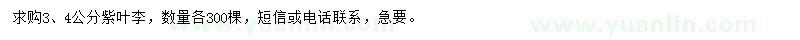 求購3、4公分紫葉李