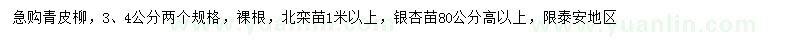 求購青皮柳、北欒、銀杏