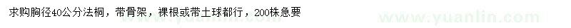 求購胸徑40公分法桐