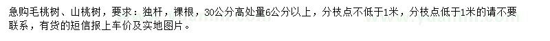 求購30公分高處量6公分以上毛桃樹、山桃樹