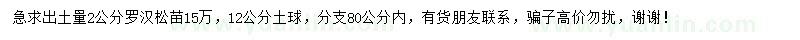 求購(gòu)出土量2公分羅漢松