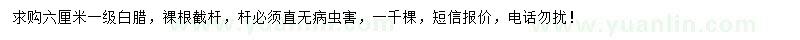 求購6公分一級(jí)白臘