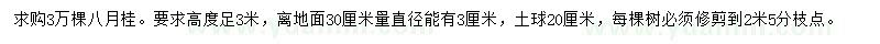 求購高度足3米八月桂
