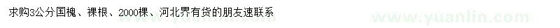 求購3公分國槐