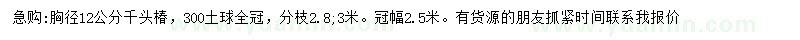 求購胸徑12公分千頭椿