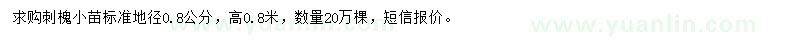 求購(gòu)地徑0.8公分刺槐