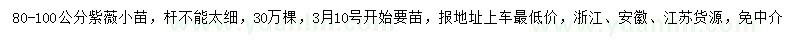 求購80-100公分紫薇小苗