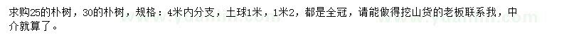 求購25公分樸樹、30公分樸樹