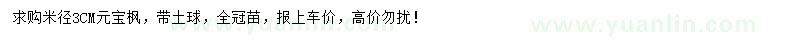 求購米徑3公分元寶楓