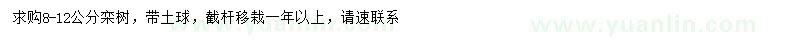 求購8-12公分欒樹