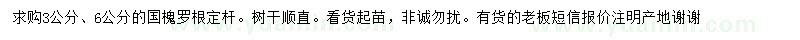 求購(gòu)3、6公分國(guó)槐