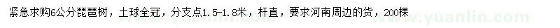 求購6公分琵琶樹