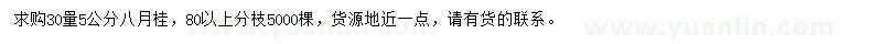 求購30量5公分八月桂