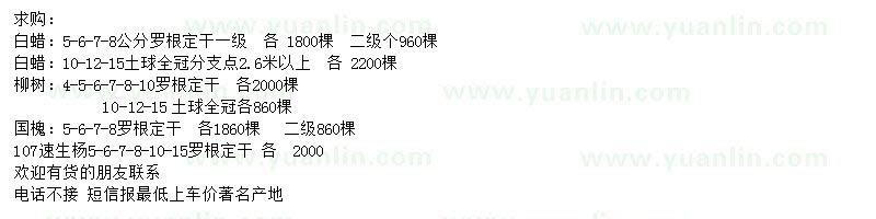 求購(gòu)白蠟、柳樹、國(guó)槐等