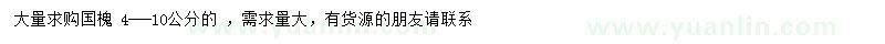求購4-10公分國槐