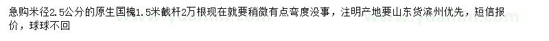 求購米徑2.5公分國槐