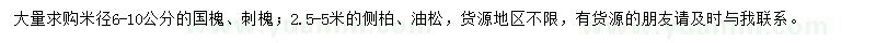 求購(gòu)國(guó)槐、刺槐、側(cè)柏等