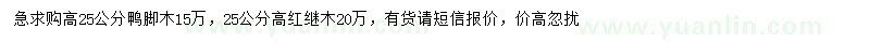 求購高25公分鴨腳木、紅繼木