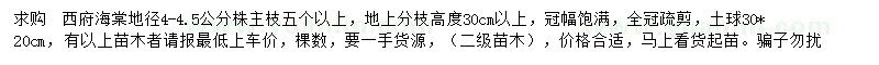 求購地徑4-4.5公分西府海棠