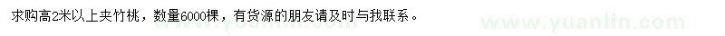 求購高2米以上夾竹桃