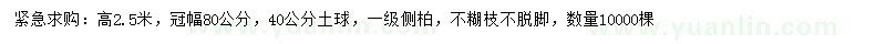 求購(gòu)高2.5米側(cè)柏