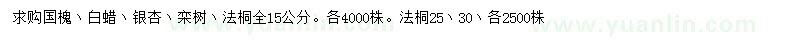求購國槐、白蠟、銀杏等